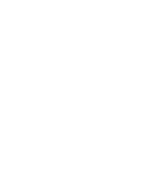 BiiSmart Group